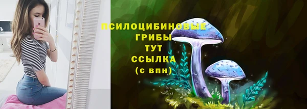 стафф Балахна