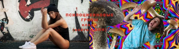 таблы Арсеньев