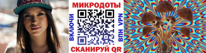 Псилоцибиновые грибы Psilocybine cubensis  OMG ССЫЛКА  Городец 